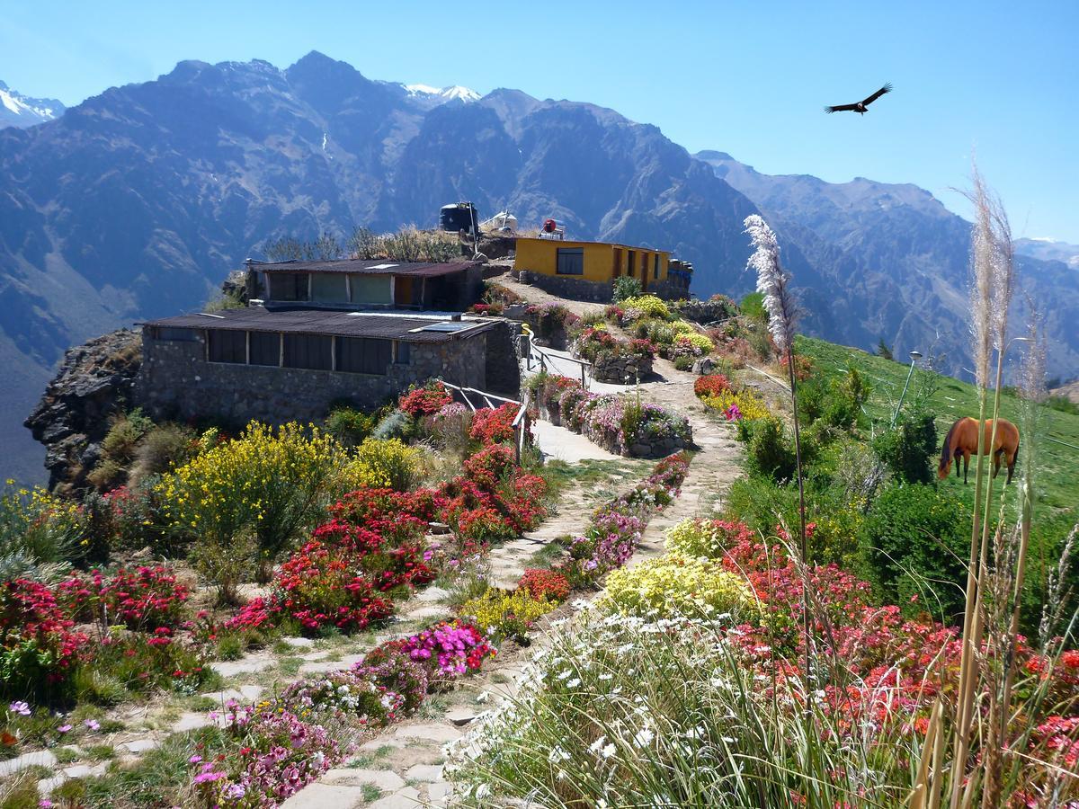 فيلا La Granja Del Colca كاباناكوند المظهر الخارجي الصورة