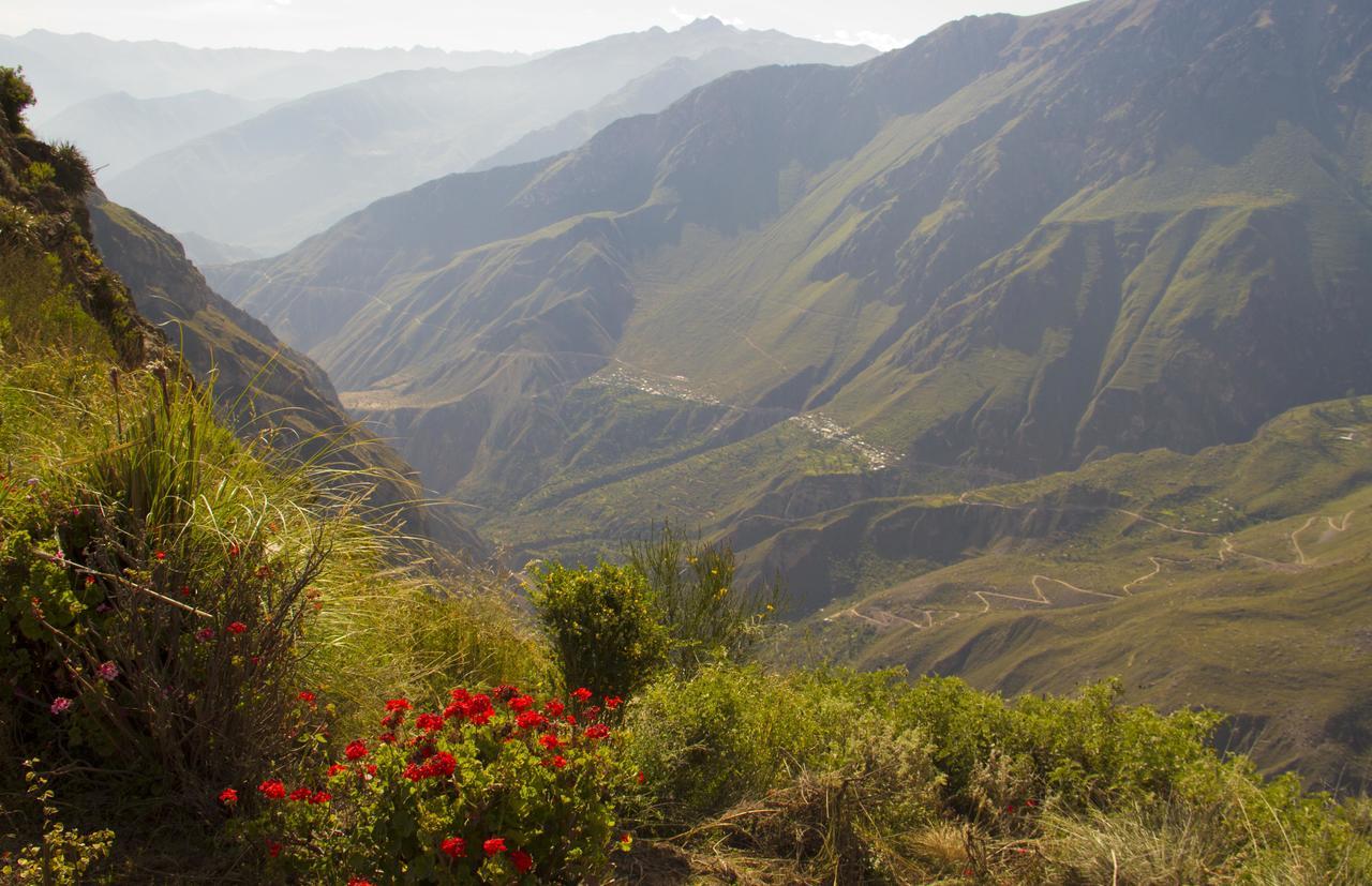 فيلا La Granja Del Colca كاباناكوند المظهر الخارجي الصورة