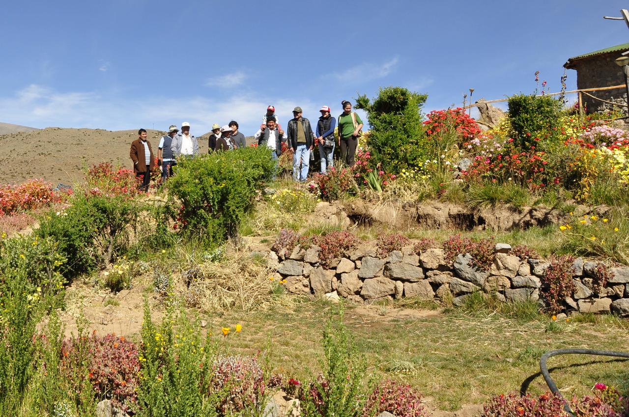 فيلا La Granja Del Colca كاباناكوند المظهر الخارجي الصورة