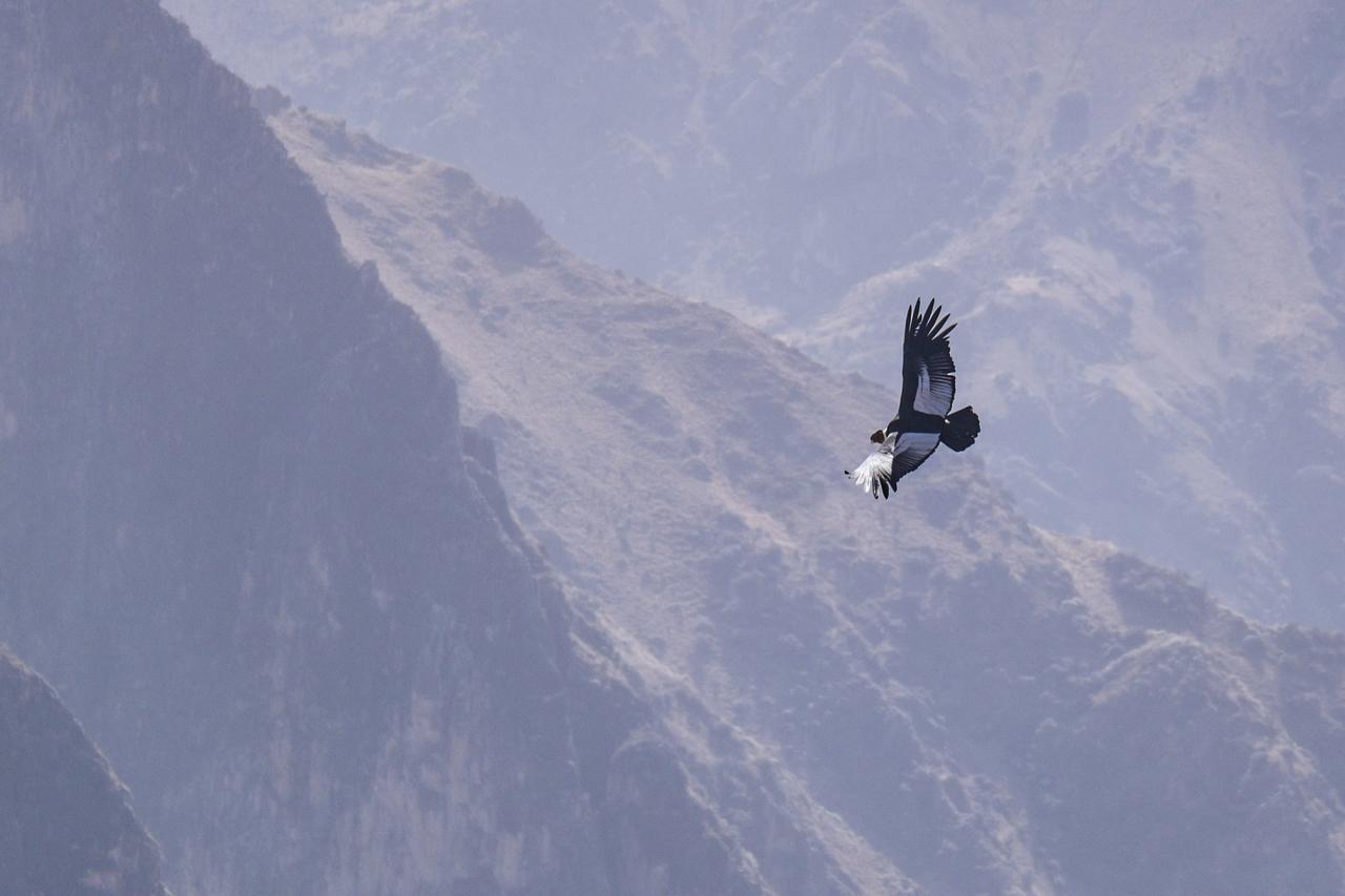 فيلا La Granja Del Colca كاباناكوند المظهر الخارجي الصورة